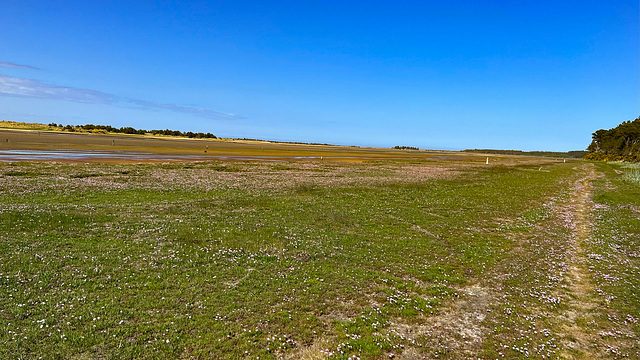 The vast salt marshland between the sandbar and the Culbin Sands forest known as The Gut