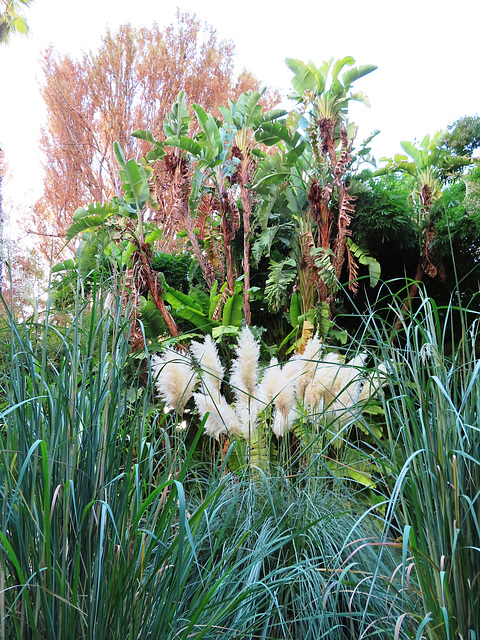 Valencia: Jardín botánico, 6