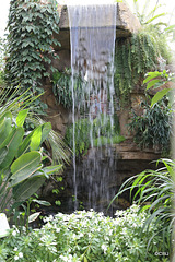 IMG 9247