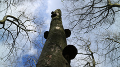 2017 4 14 Wanderung zum Rosenberg Srbská Kamenice Tschechische Republik