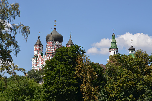 Киев, Собор Св.Пантелеймона и Церковь Благовещения Пресвятой Богородицы со стороны Парка Феофания