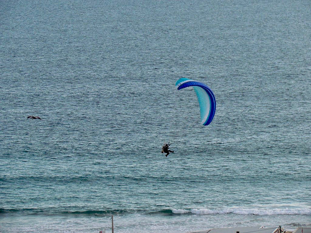 Powered paragliding, Alvor (2012)