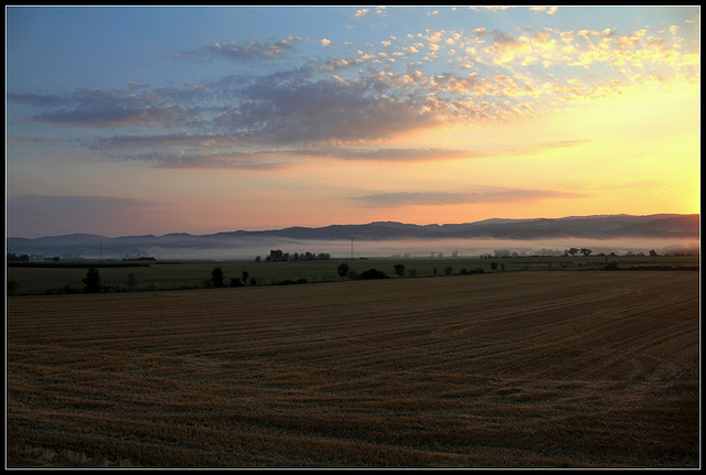 On the road... petit matin brumeux