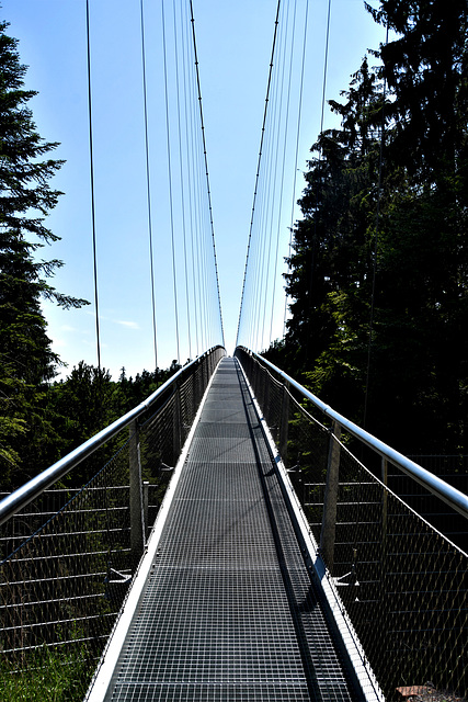 WildLine Hängebrücke!  Hanging bridge!