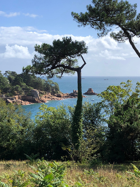 Ile de Bréhat Côte d'Armor