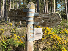 With possibly a hundred miles of tracks within the forest, signposting is essential to avoid walkers losing their bearings in the dense forest.