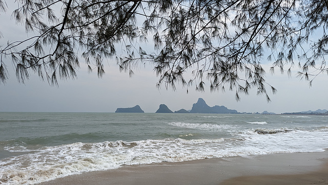 Plage et feuillage / Beach and foliage