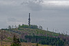 20250413+18+19_Benneckenstein Umfeld Moserteich,Carlshausturm