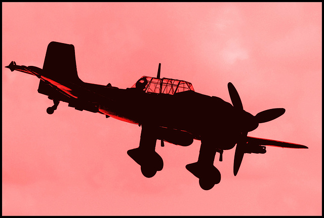 Rose Stuka - 14 April 2016