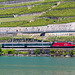 130630 Re460 Lavaux