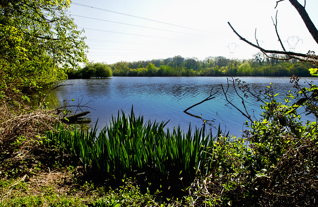 Etangs de vert-le-petit