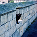 Beware of the Cat, Guardian of the Wall (Scan from Oct 1989)
