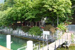 Lago Maggiore - Isla Pescatori