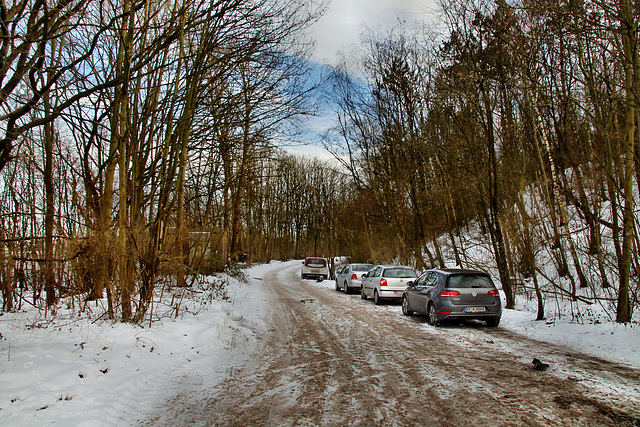 Am Fuß der Halde Lipper Höhe (Marl) / 14.02.2021