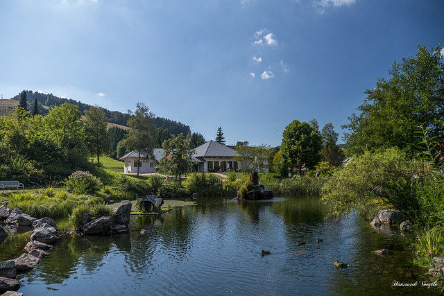 Weier in Bernau im Schwarzwald