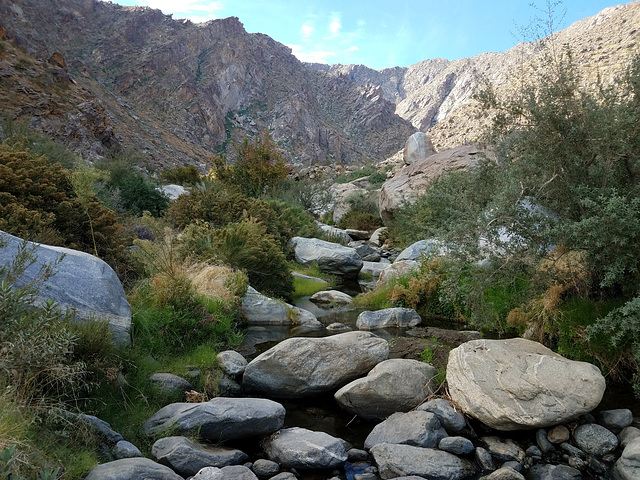 Tahquitz Creek