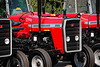 Massey Ferguson 290