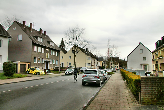 Kreisstraße (Witten-Rüdinghausen) / 8.03.2020