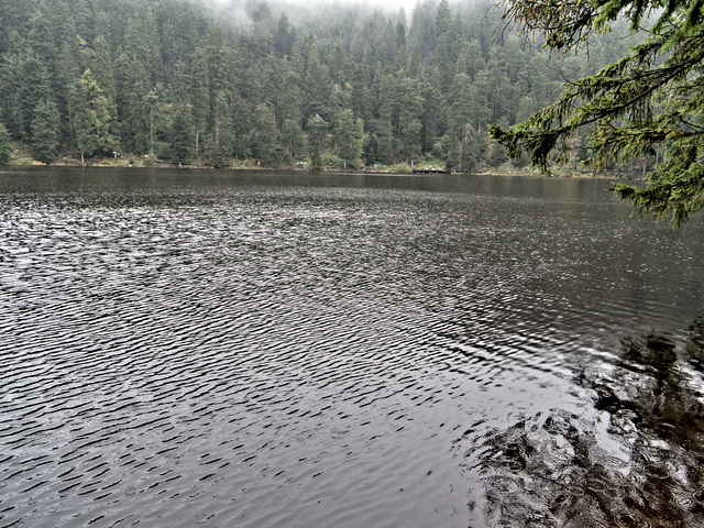 Mummelsee