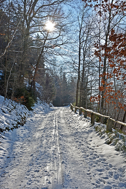 Pionierweg bei Thalheim