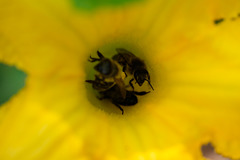 DSCF8275