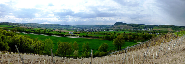 Panoramablick Richtung Heimersheim