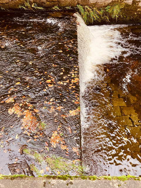 Autumn water over the weir