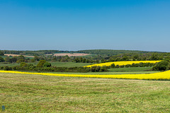 Fréijoer am Land