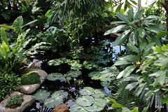 IMG 9250