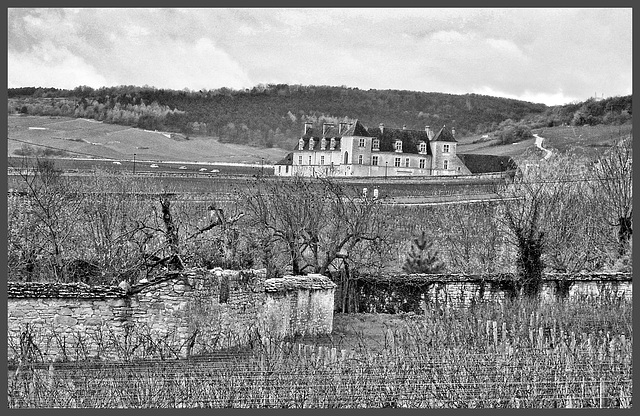 Le Clos de Vougeot et ses célèbres vignobles (21) 18 novembre 2010.