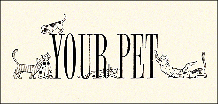 "Your Pet" Feature Illustration, 1951