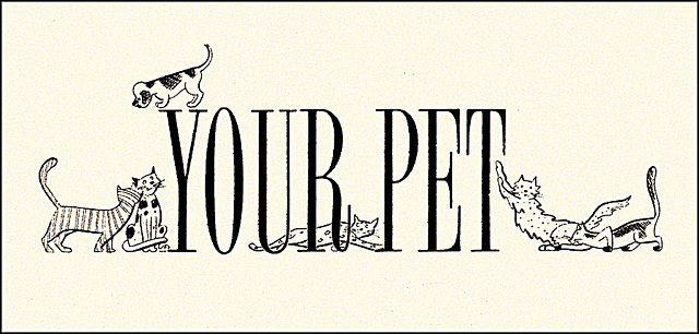 "Your Pet" Feature Illustration, 1951