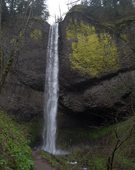 Columbia Gorge - Latourell  Falls (#0470)