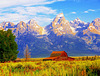 Summer Dawn in the Tetons - Grand Teton National Park