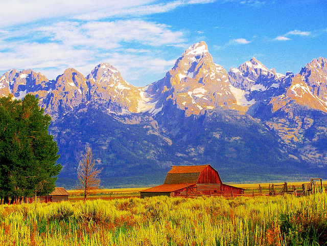 Summer Dawn in the Tetons - Grand Teton National Park