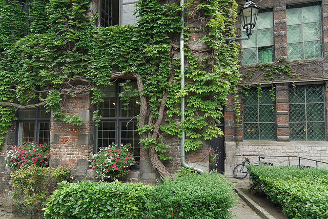 Dans la cour de l'hôtel de ville