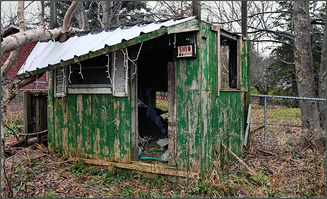 Shed Quarters