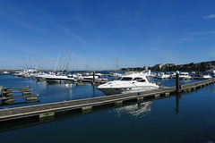 Malahide Marina