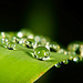 Die Regenperlen sind am Grashalm liegen geblieben :))  The rain beads have remained on the blade of grass :))  Les perles de pluie sont restées sur le brin d'herbe :))