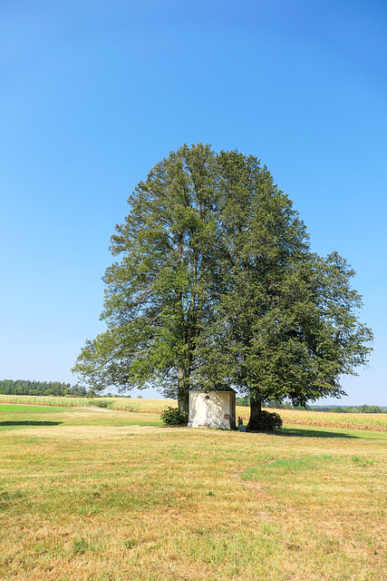 Tirschenreuth, Wegkapelle (PiP)