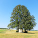 Tirschenreuth, Wegkapelle (PiP)