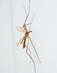 IMG 1865-FHD IMG 1865-FHD