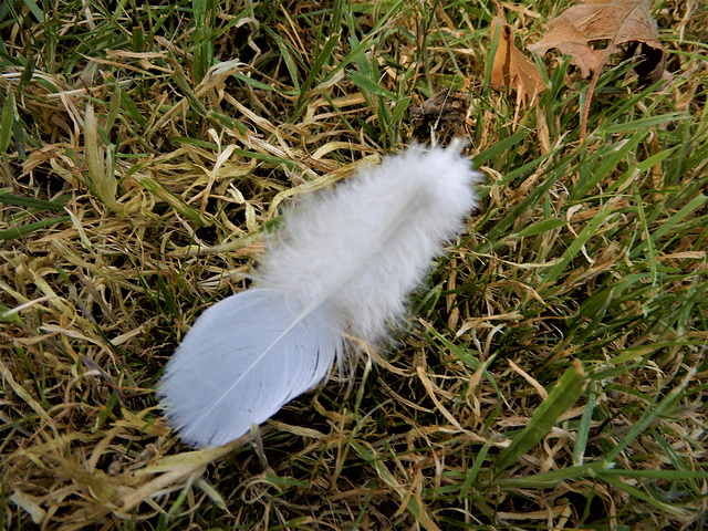 un message du ciel