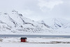 Discover Svalbard