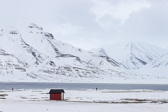 Discover Svalbard