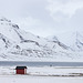 Discover Svalbard