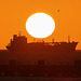 EOS R7 Peter Harriman 07 45 37 4216 gaschemBalticSunrise dpp
