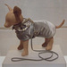Dog Coat and Leash in the Brooklyn Museum, July 2010