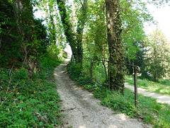 Promenade au Parc du Bosquet chez moi (26)***********