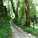 Promenade au Parc du Bosquet chez moi (26)***********